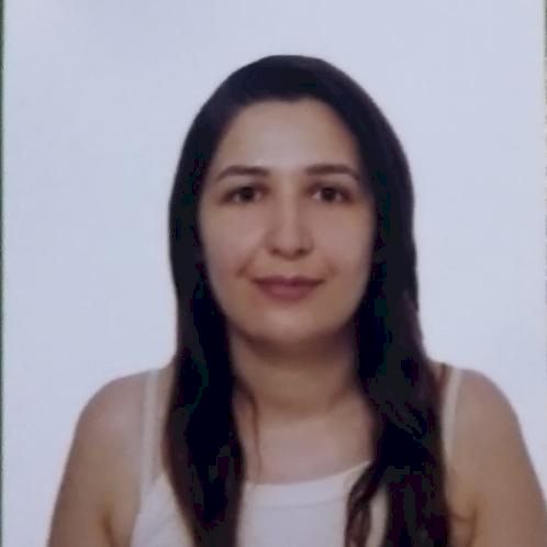 Turkish Language Classes from Native Speaker