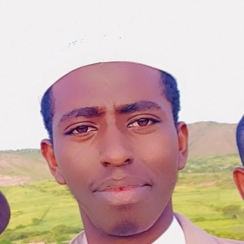 Experienced Amharic Tutor Helping You Speak Confidently